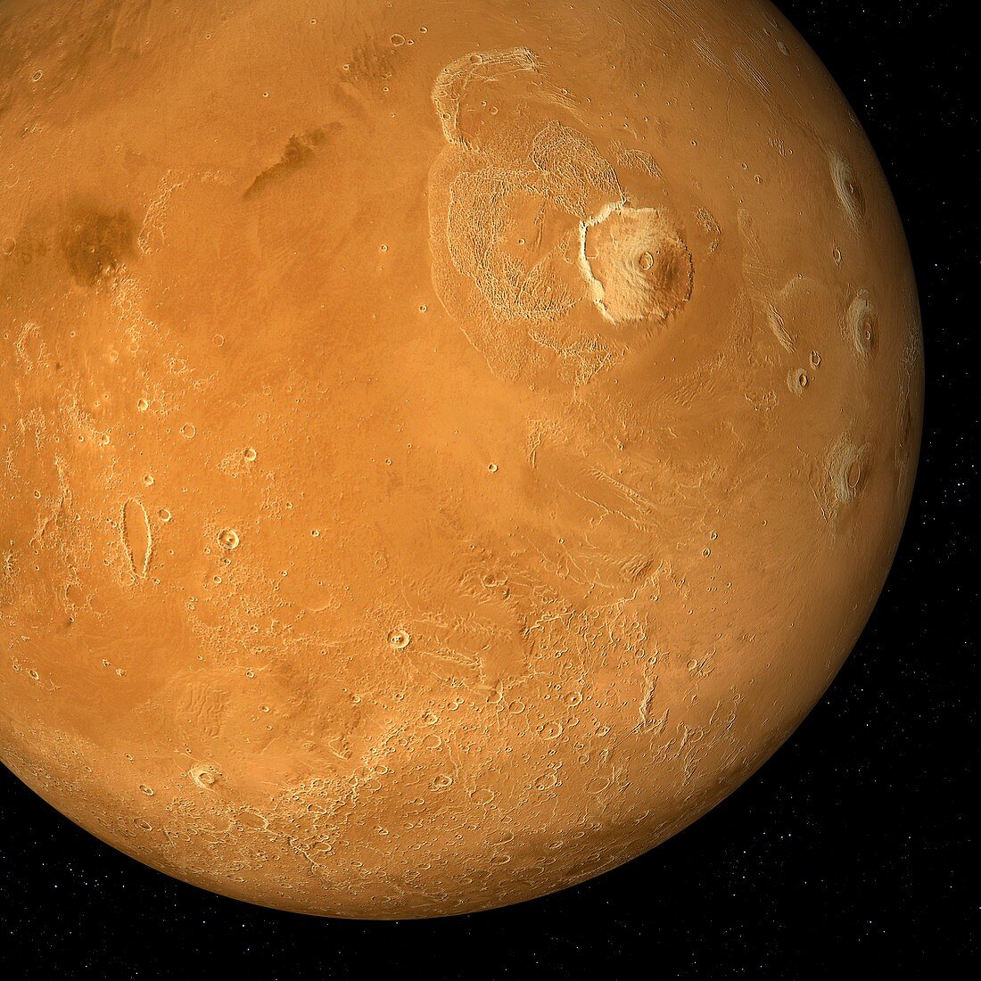 Olympus Mons and Amazonis Planitia, Mars, illustration