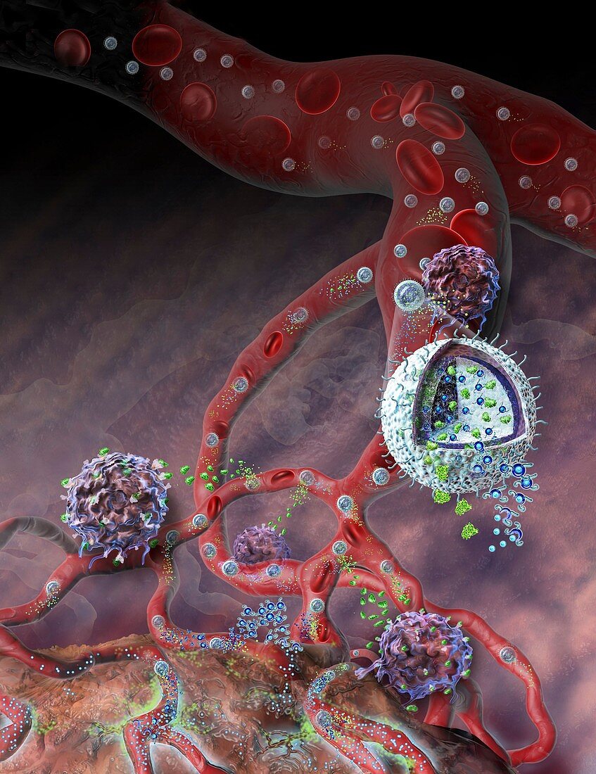 Nanolipogels delivering cancer drugs, illustration