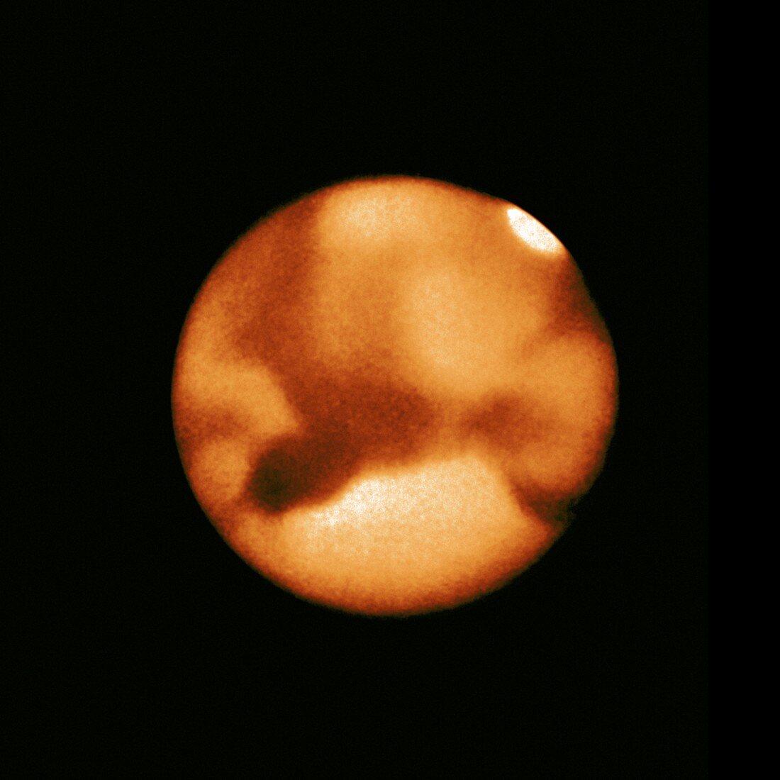 Mars infrared photograph, 1924