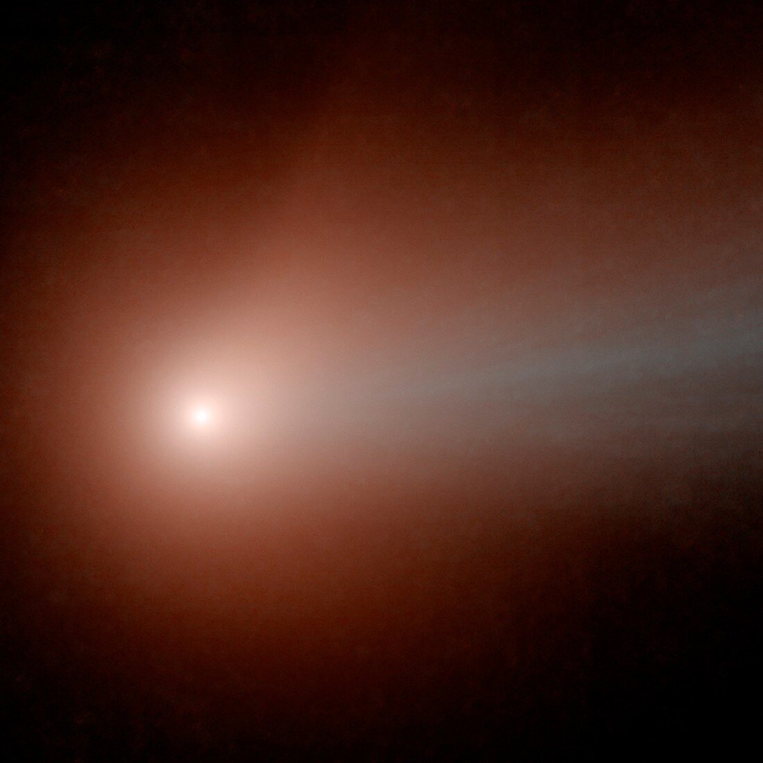 Comet C 2014 Q2, NEOWISE image