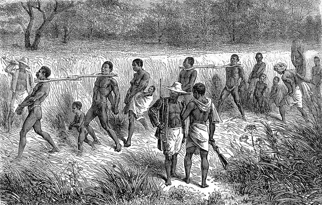 19th Century African slaves convoy, illustration