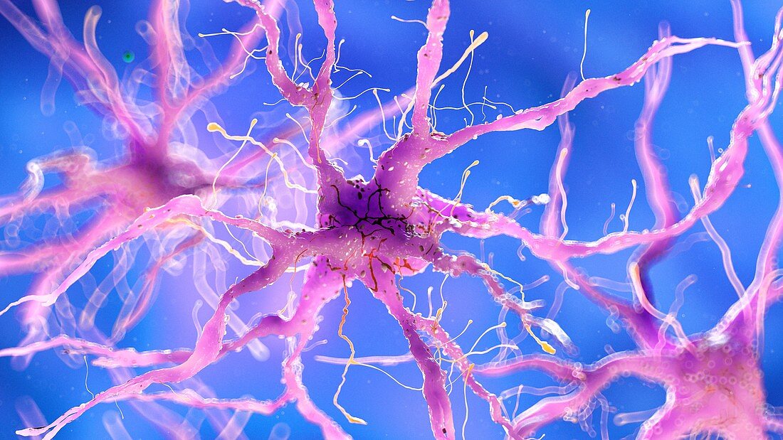 Illustration of a damaged nerve cell