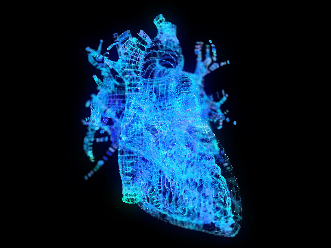 Illustration of a plexus heart
