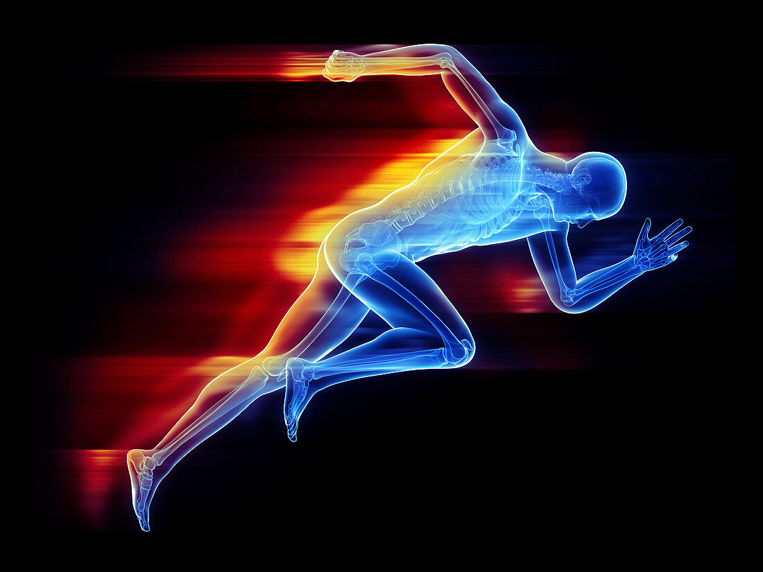 Illustration of a sprinter