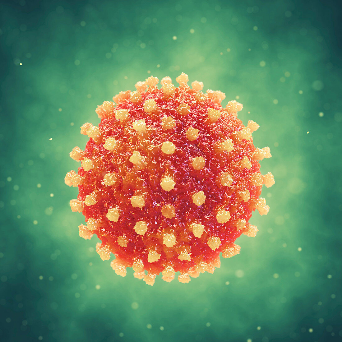 Hepatitis virus, illustration
