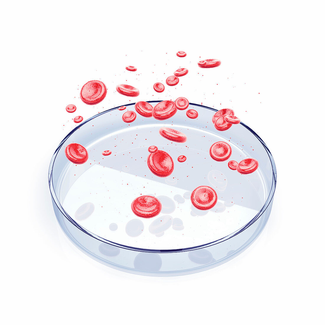 Blood research, conceptual illustration