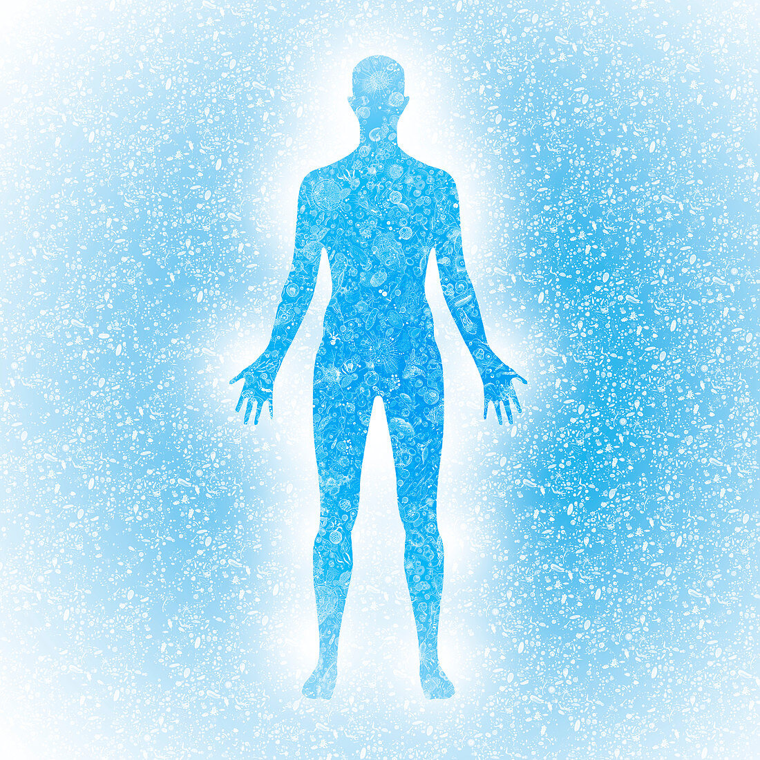 Human body biomes, illustration