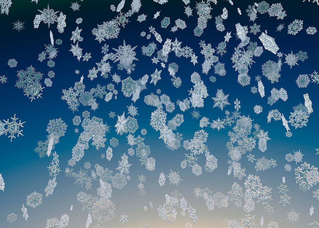 Snowflakes falling, illustration