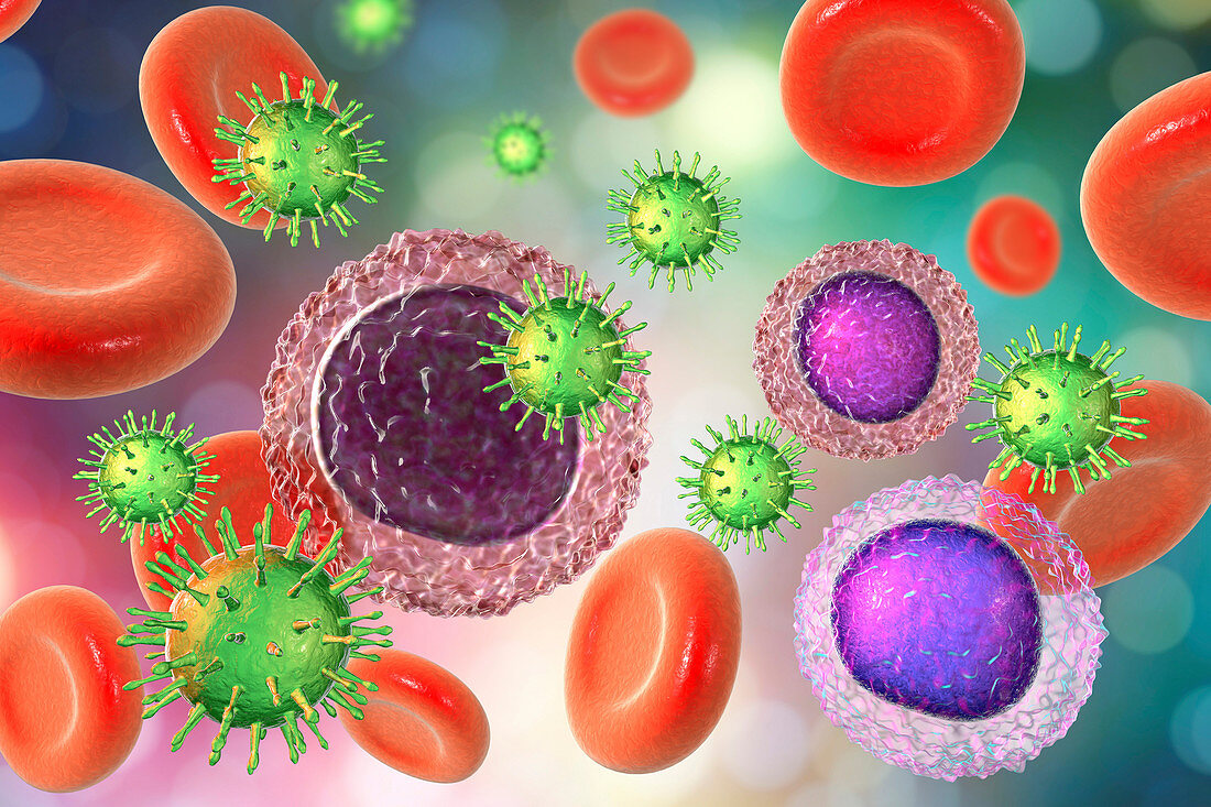 HIV infection, illustration