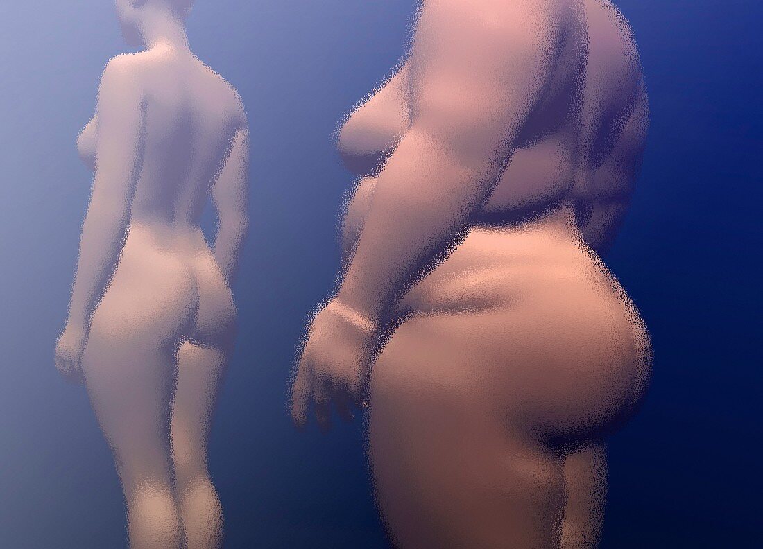 Healthy woman and obese woman, illustration