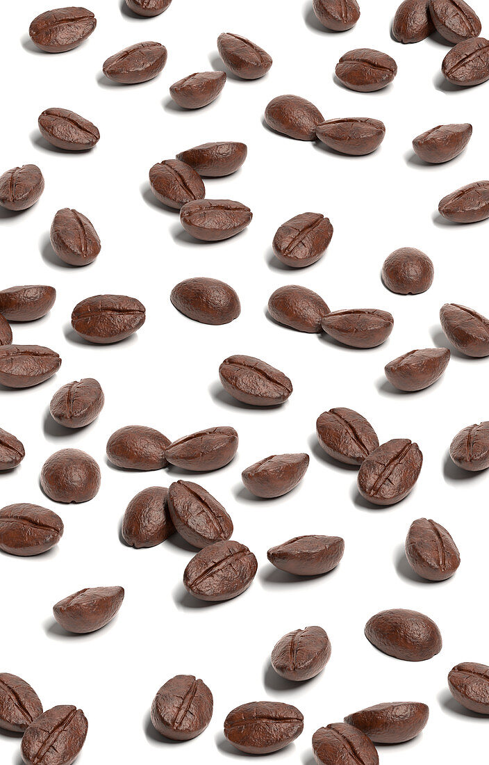 Coffee beans spread on white surface, illustration
