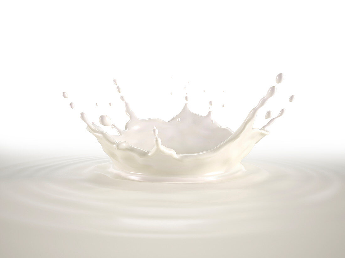 Milk crown splash with ripples, illustration
