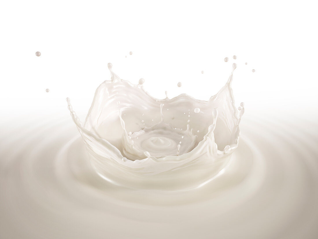 Milk double crown splash with ripples, illustration