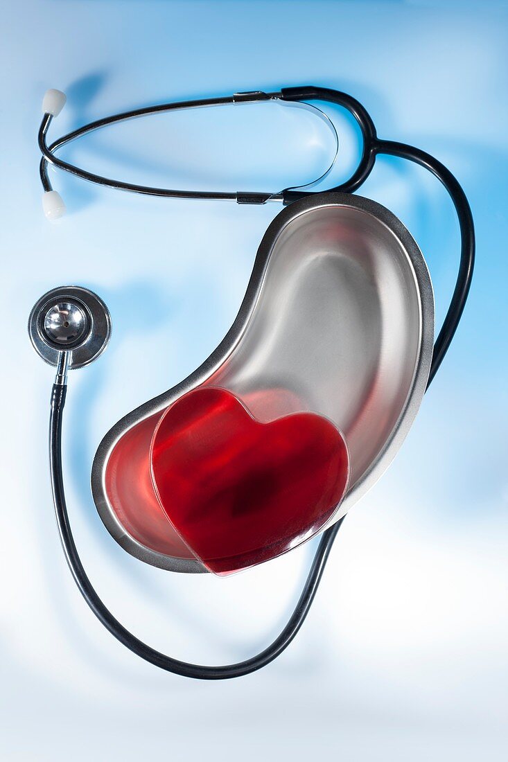Stethoscope and heart in surgical dish