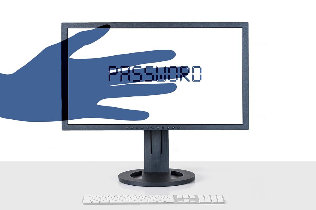 Cybercrime and online password theft, conceptual image