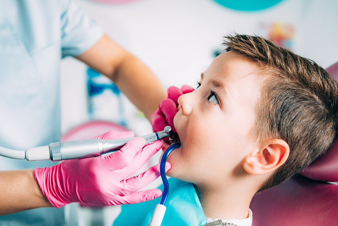 Orthodontist working with little boy