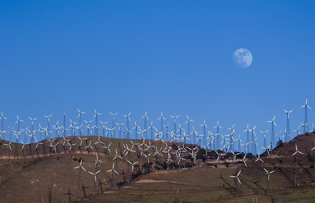 Wind farm, Tehachapi, California, USA