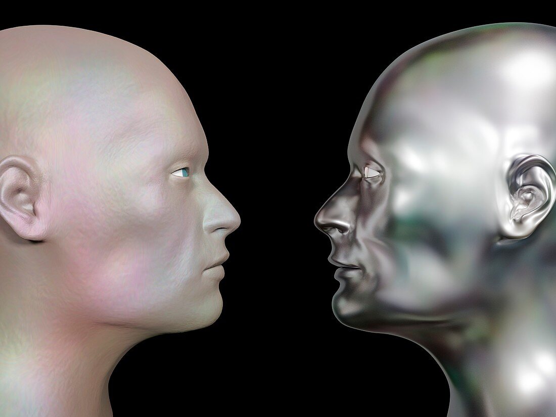 Human clone and humanoid robot, illustration