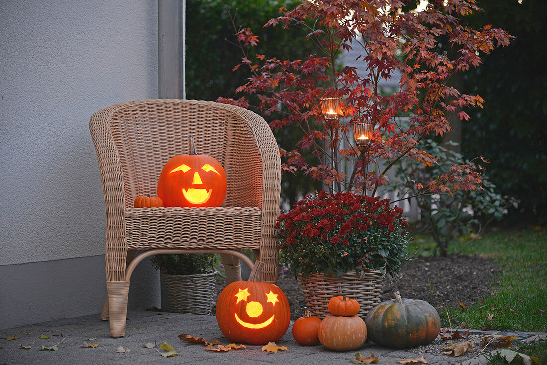 Halloween-Arrangement mit Kürbissen, Chrysantheme und Fächerahorn