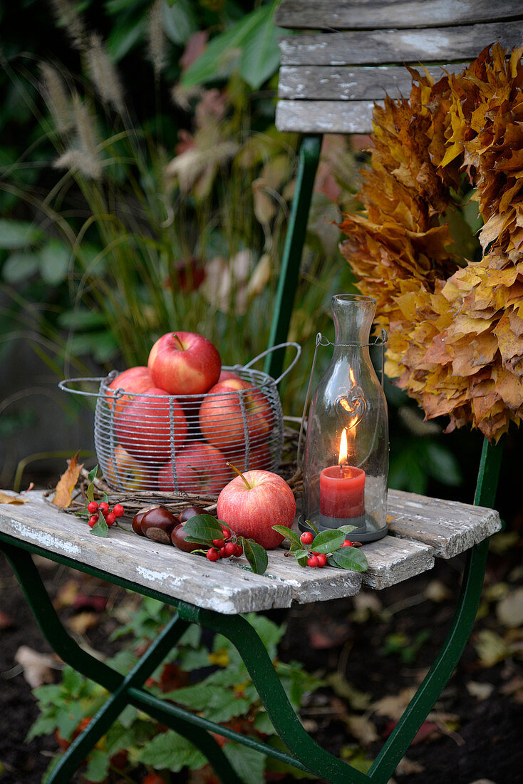Basket of apples and candle lantern on old garden chair