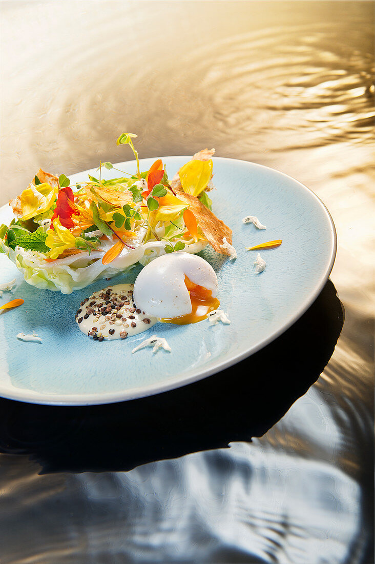 Natural cuisine: summer herb salad with egg, aioli and edible flowers
