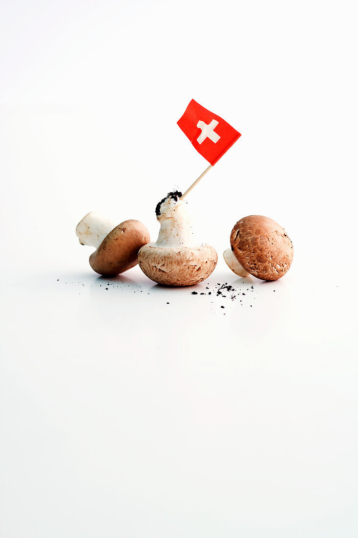 Mushrooms for Züricher Geschnetzeltes (veal ragout in a creamy sauce originating from Zurich)