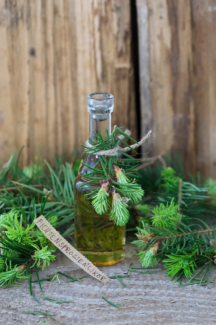 Fichtensprossenlikör in Flasche