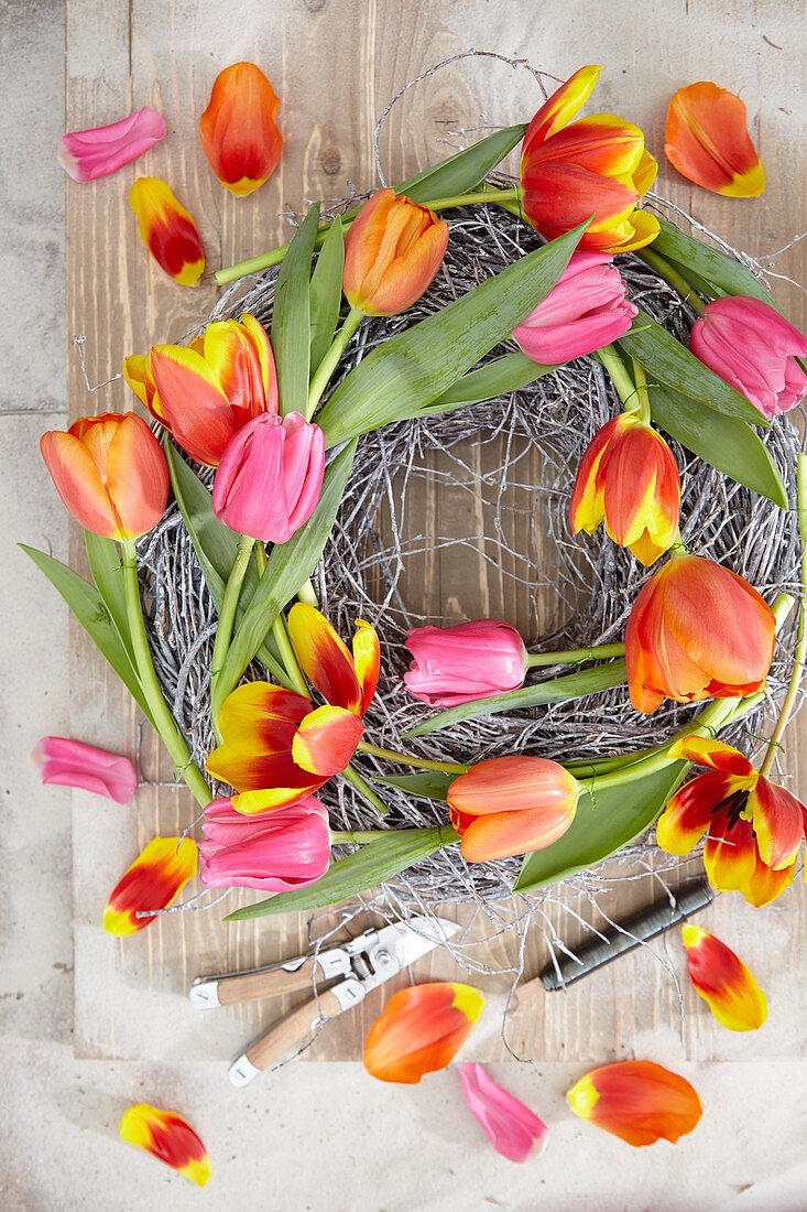 Tulipa wreath