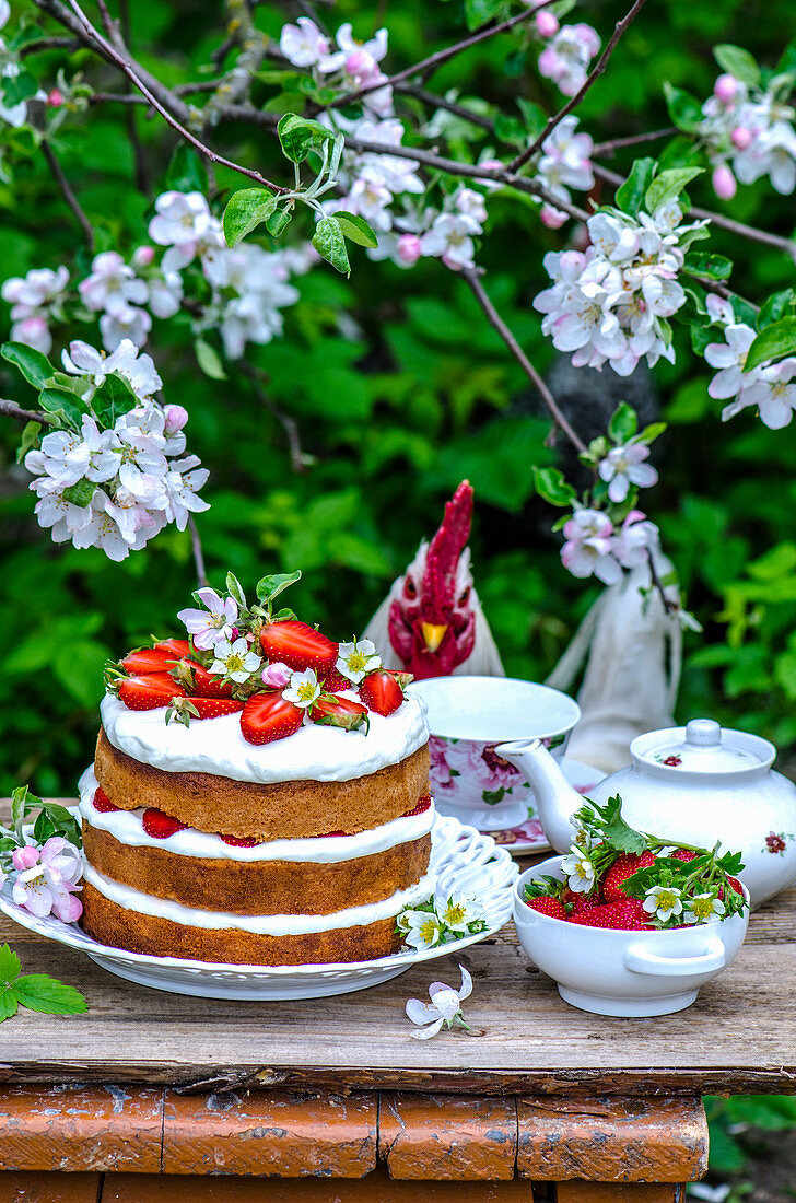 Sponge cake with cream and strawberries