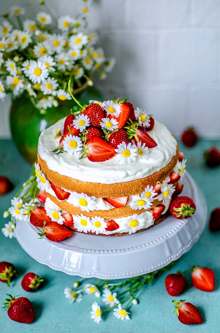 Biscuit cake with cream and strawberries, decorated with daisies on a gray stand