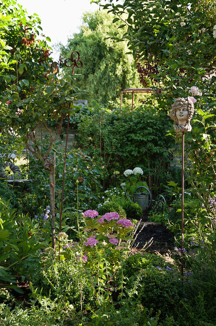 Shady garden corner with hydrangeas