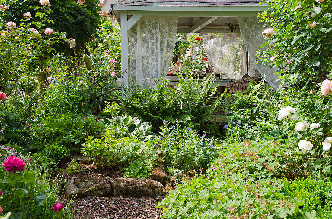 Perennial bed with ferns, hostas and cranesbills in front of a wooden pavilion