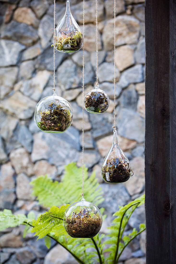 Glass terrarium with moss and LED fairy lights