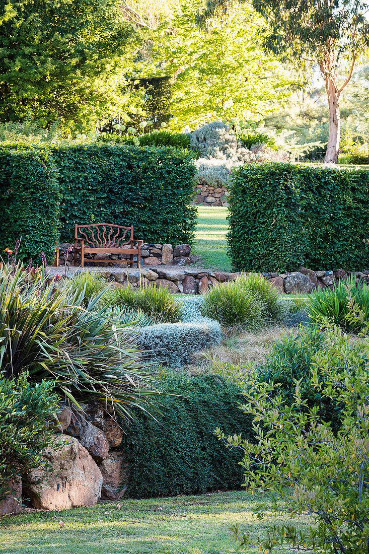 Terranssenförmig angelegter Garten mit Hainbuchenhecke