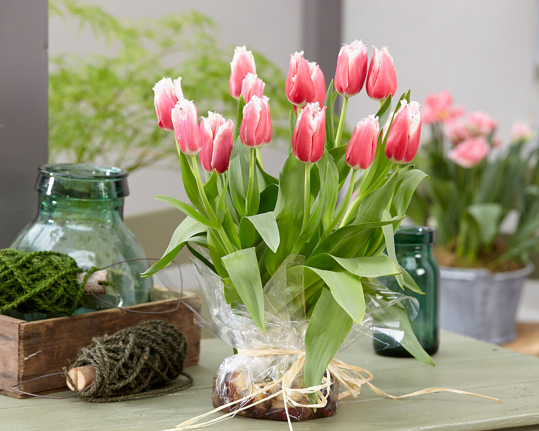 Strauß aus Tulpe 'Canasta' mit Zwiebeln