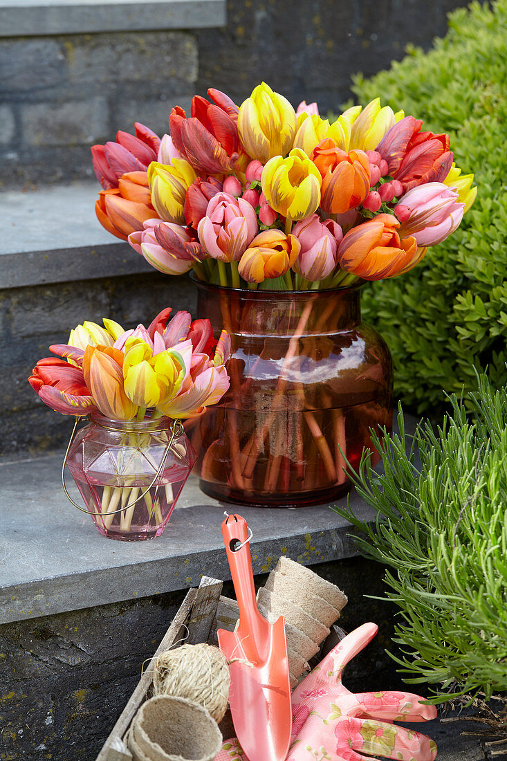 Tulipa Princess mix