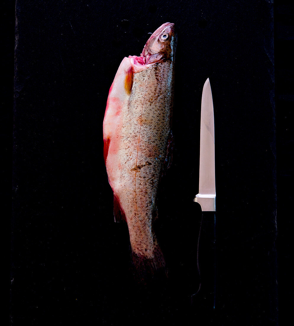 A fresh trout with a knife