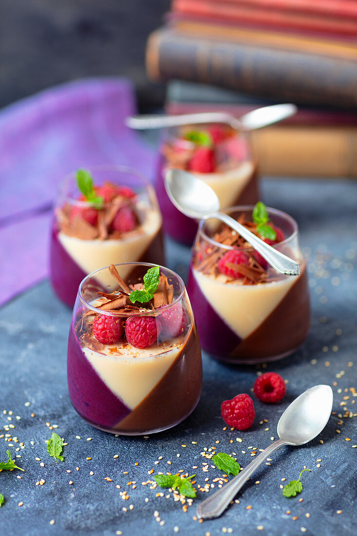 Panna cotta in glasses with chocolate, berries and coconut layers