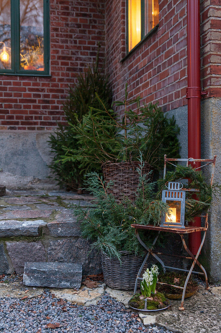 Festive outdoor arrangement of fir trees, wreath and lantern