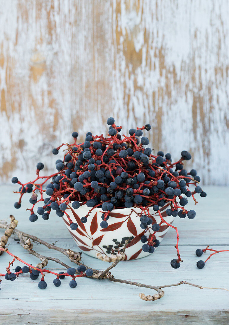 Virginia creeper berries in bowl painted with autumnal motif