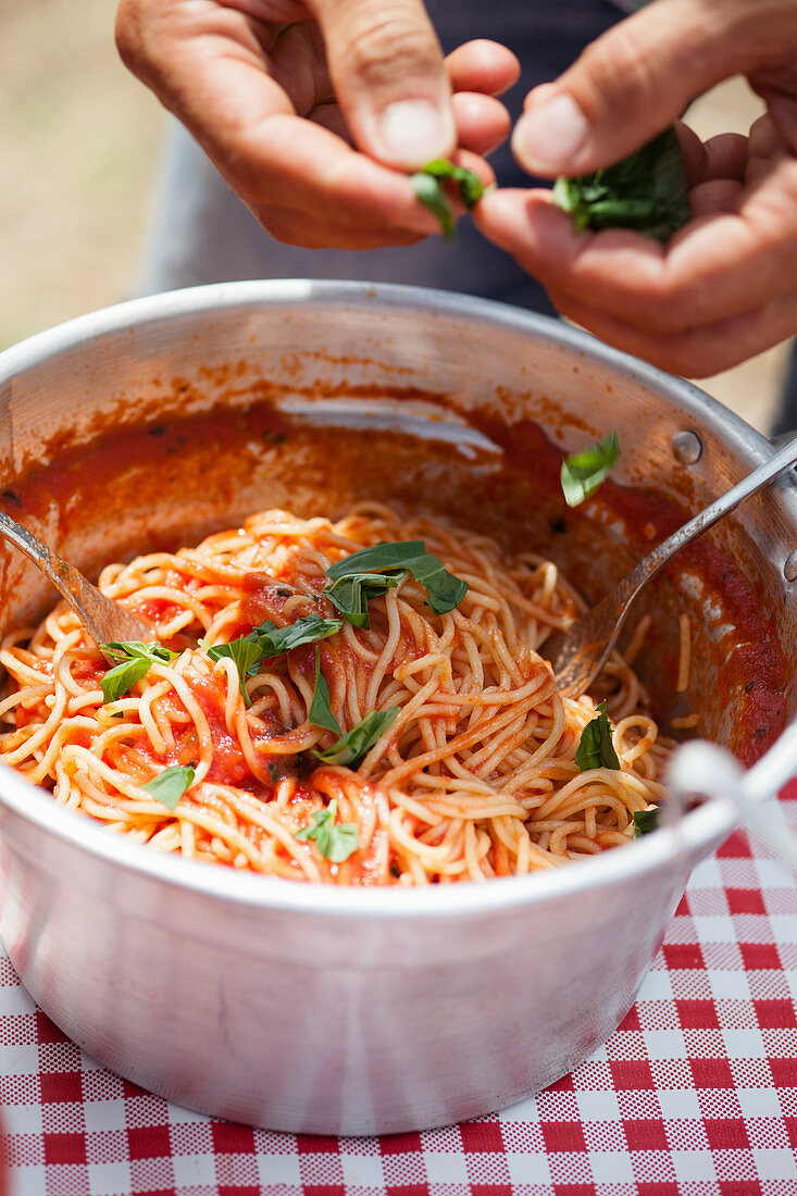 Spaghetti mit Tomatensauce und frischem Basilikum