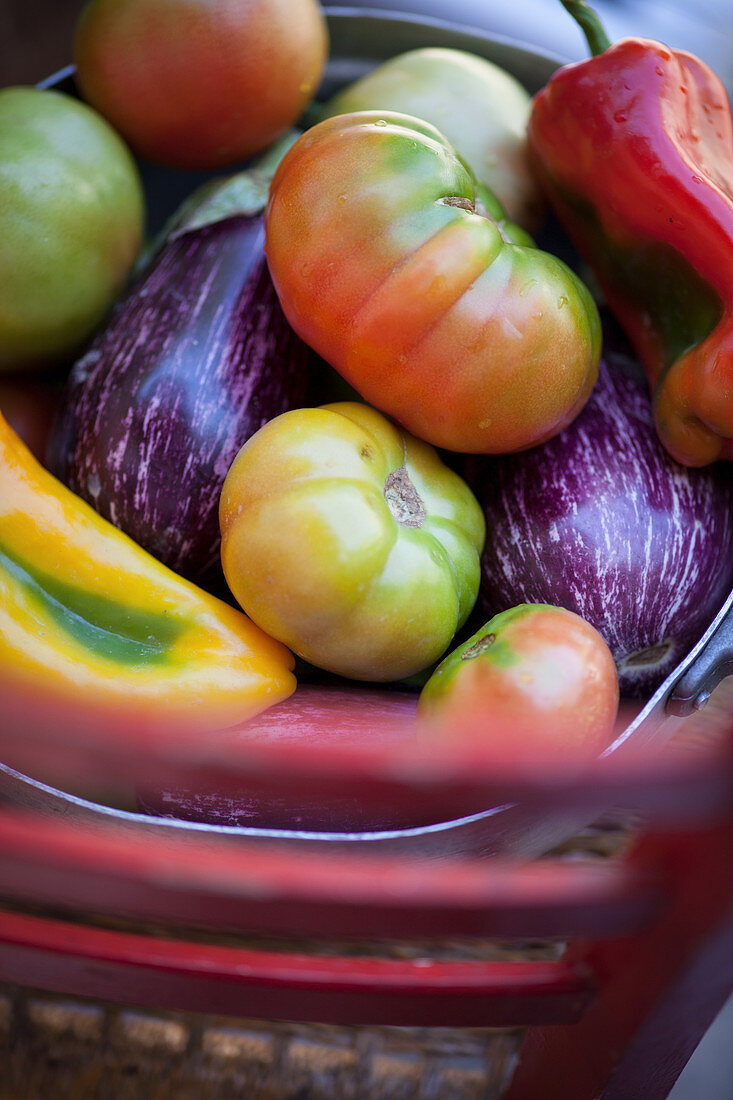 Auberginen, Tomaten und Paprika im Metallkorb