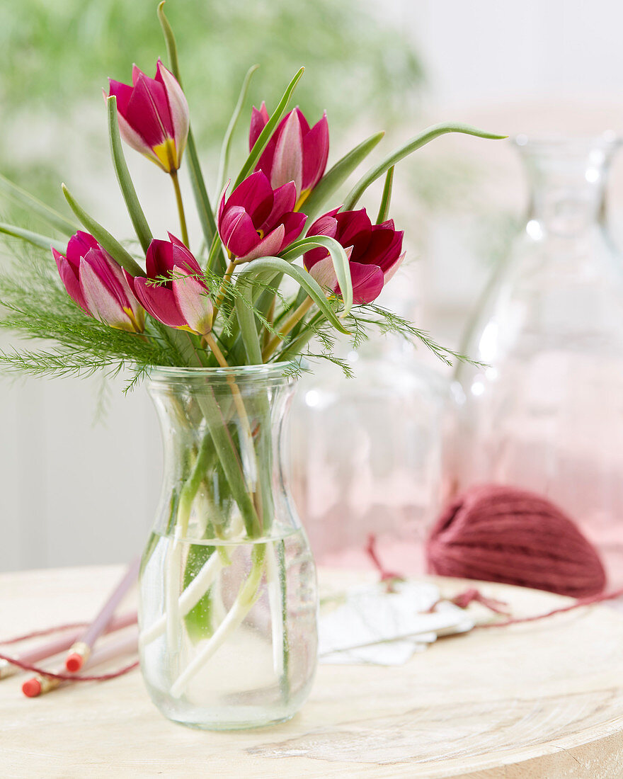 Tulipa bouquet