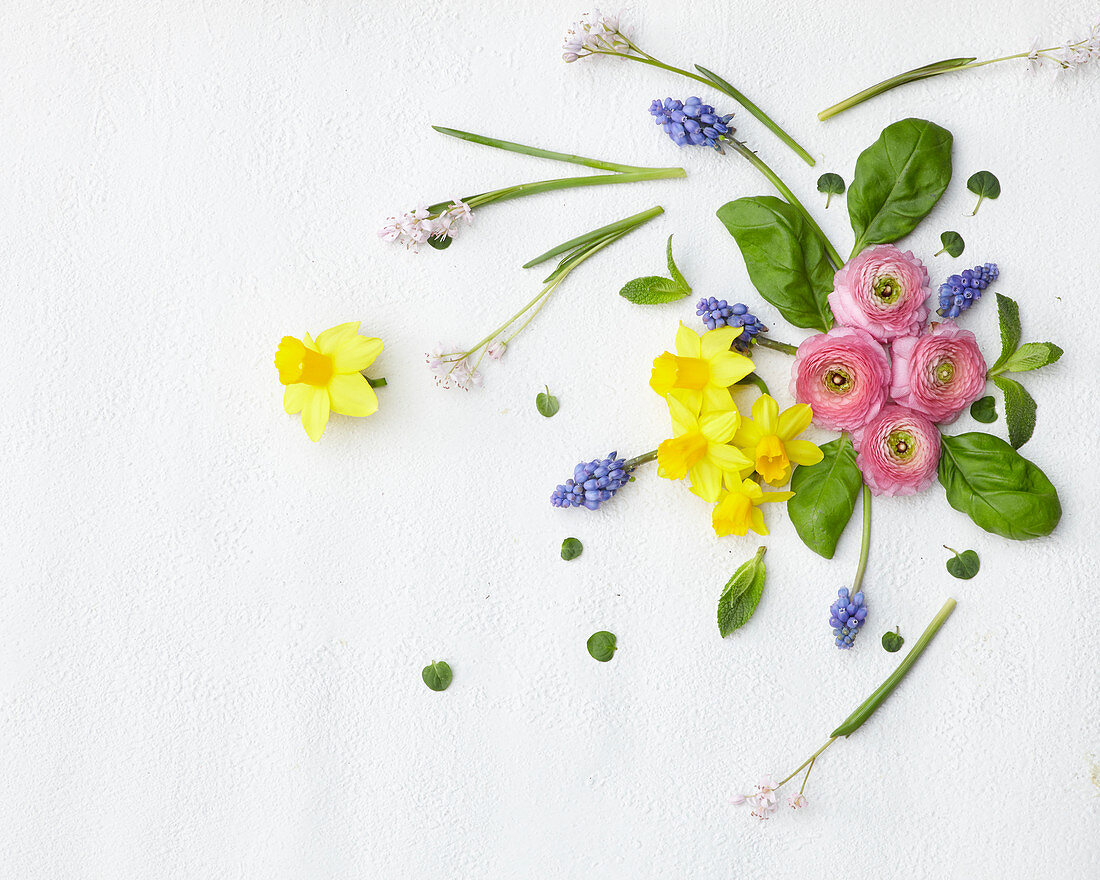 Herbs and flowers