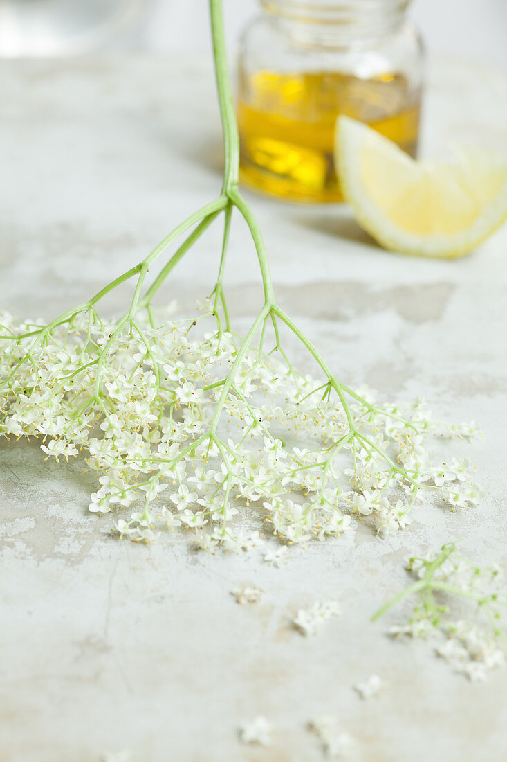 Fresh elderflowers