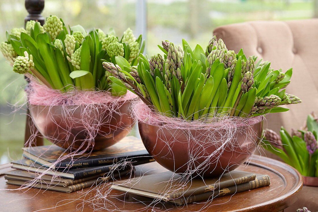 Hyacinthus arrangement