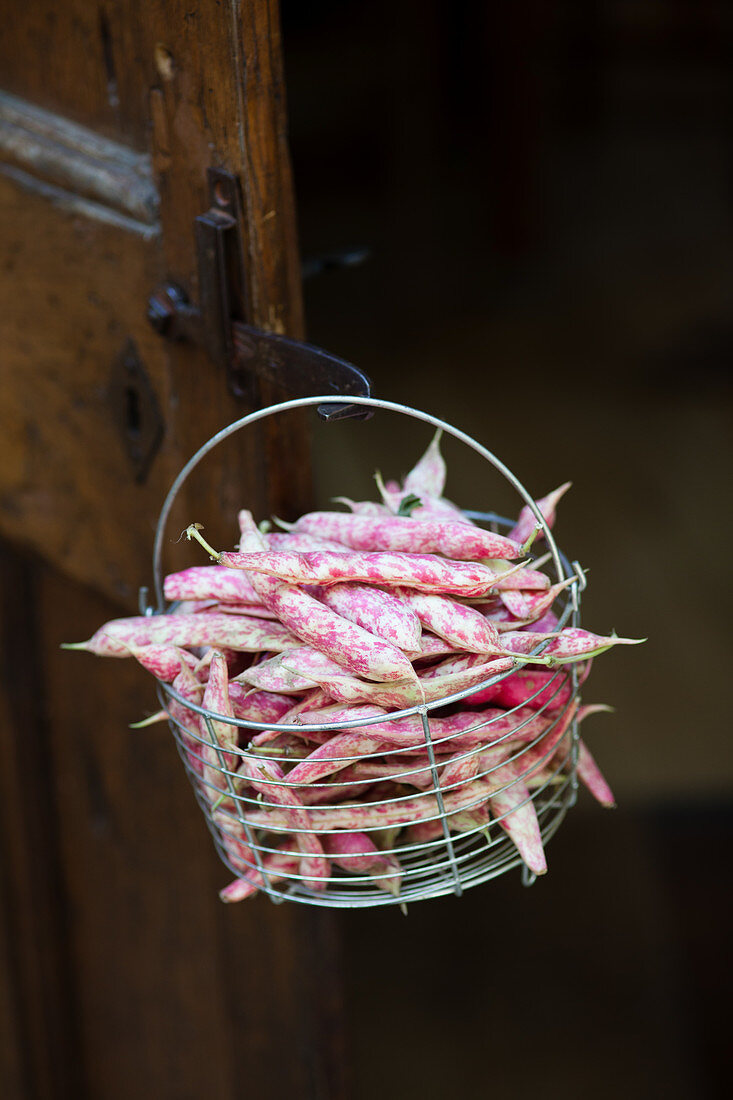 Borlotti beans in a wire basket on a wooden door