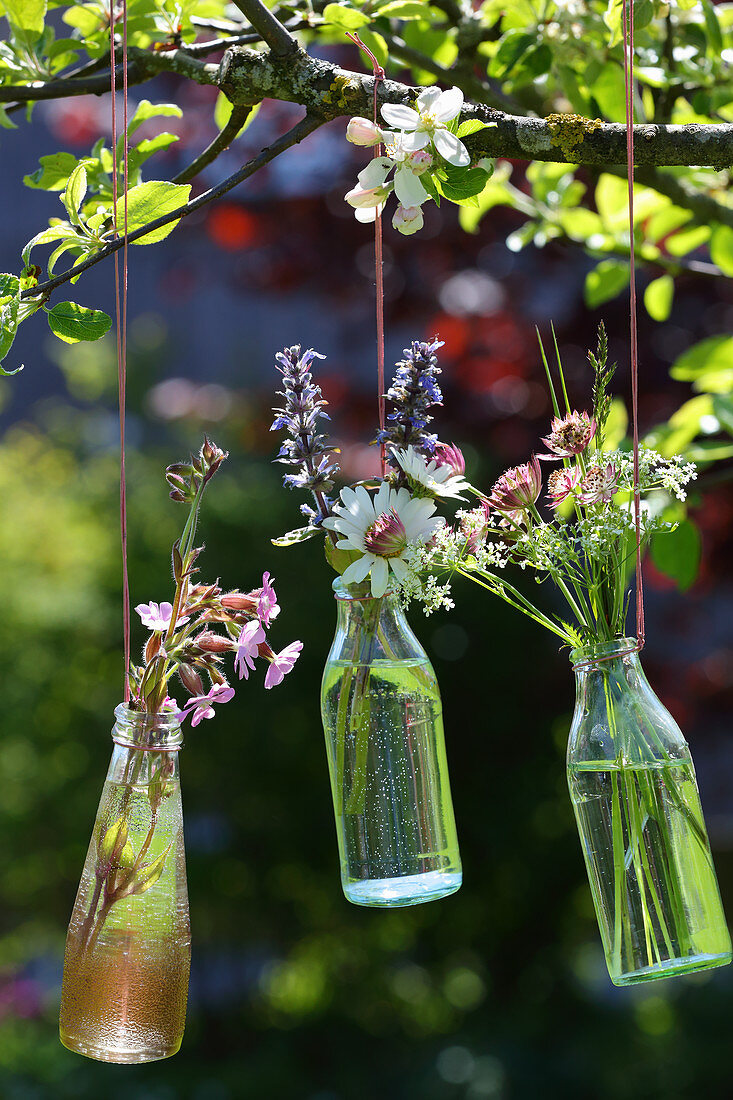 Wildflowers in glass bottles hung in flowering fruit tree