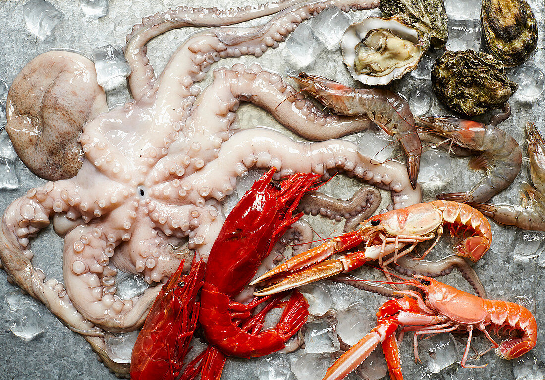 Platter of raw seafood