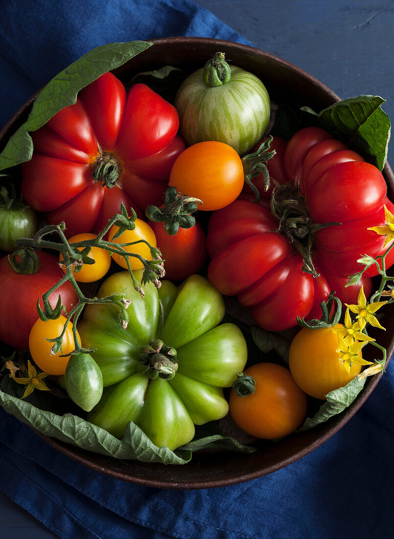 Fresh summer tomatoes in metal bowl